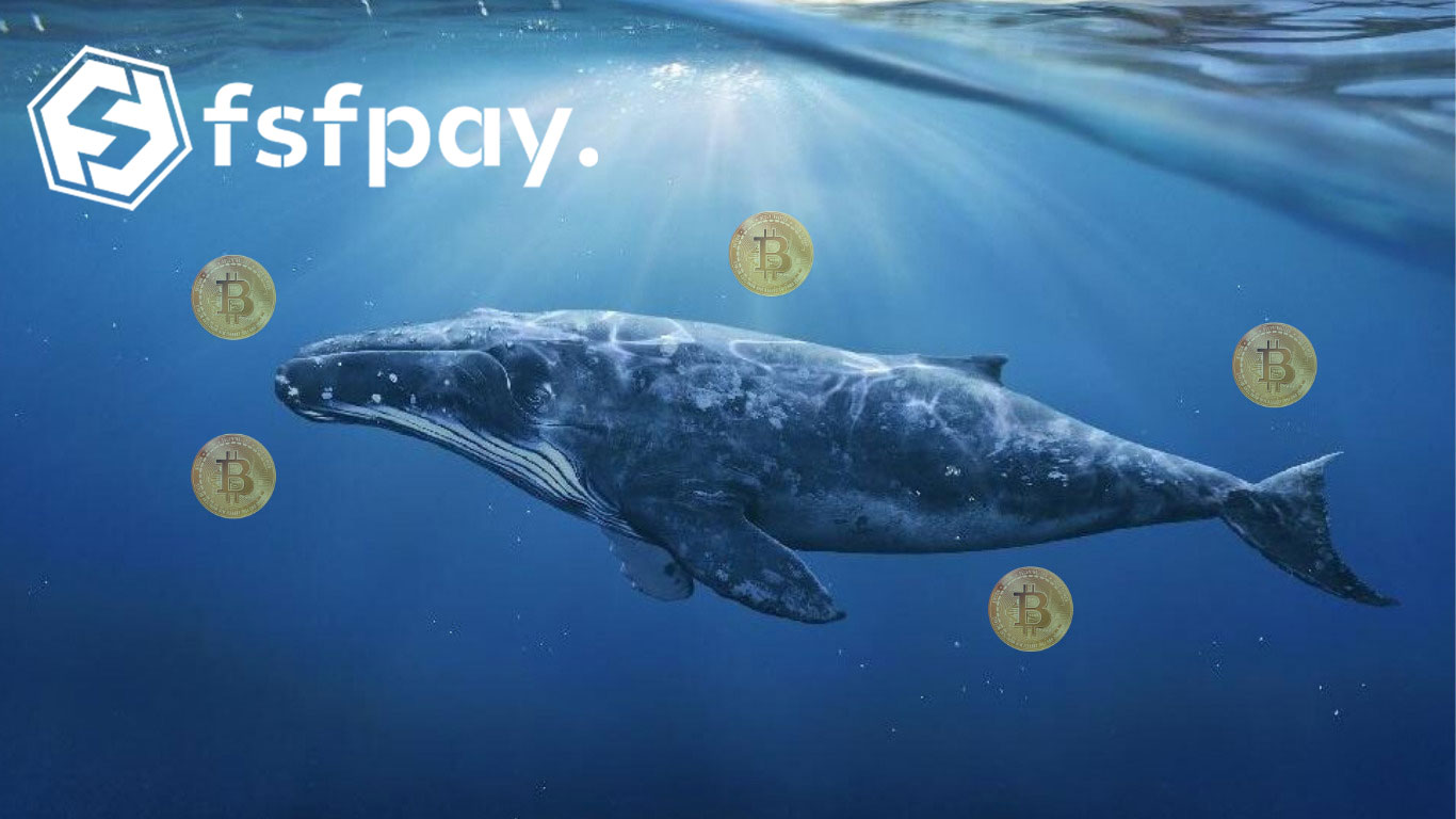 500 Million Dollars of Bitcoin Accumulated Whale Sit on the Agenda