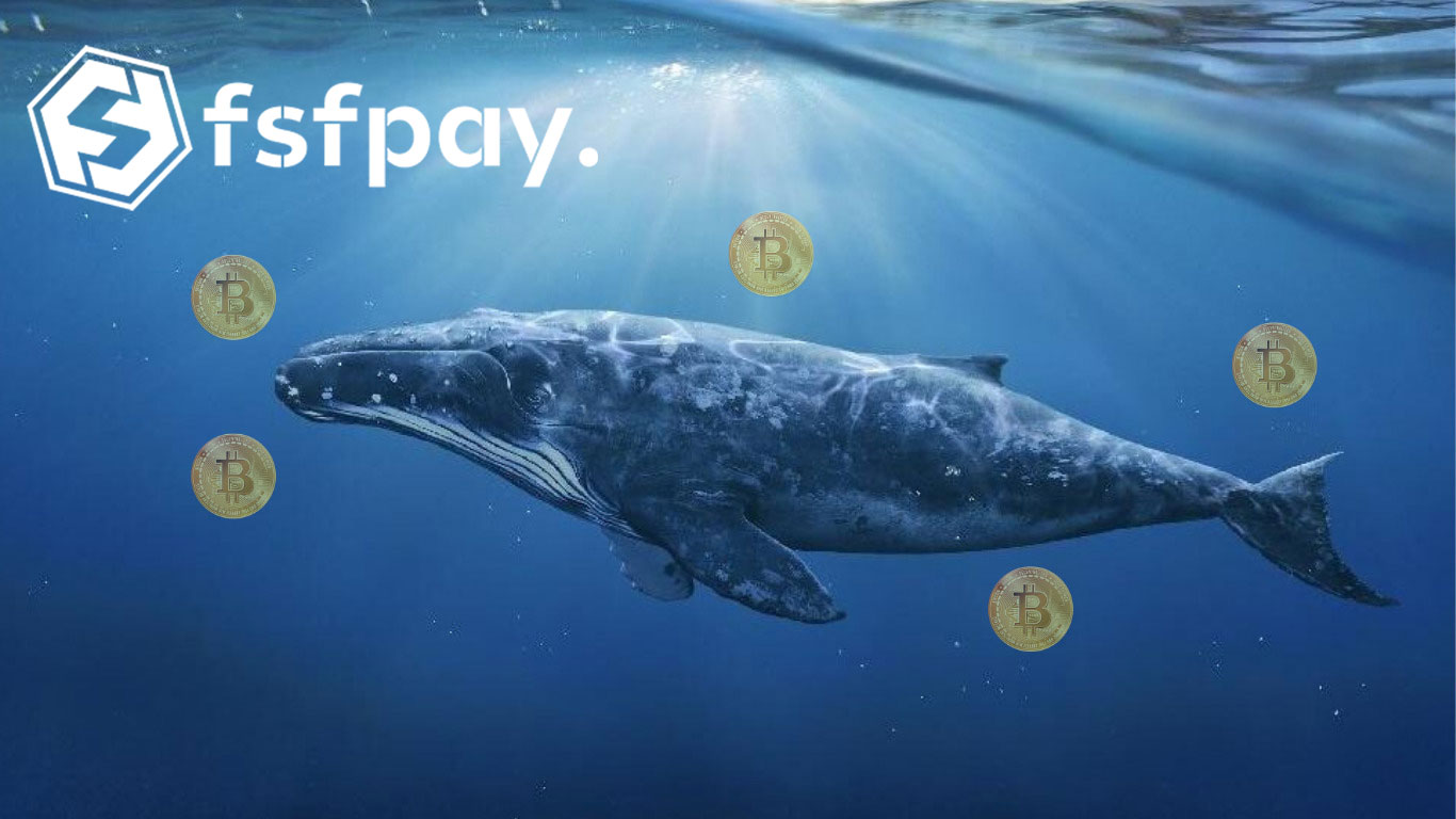 500 millones de dólares de ballenas acumuladas de Bitcoin están en la agenda